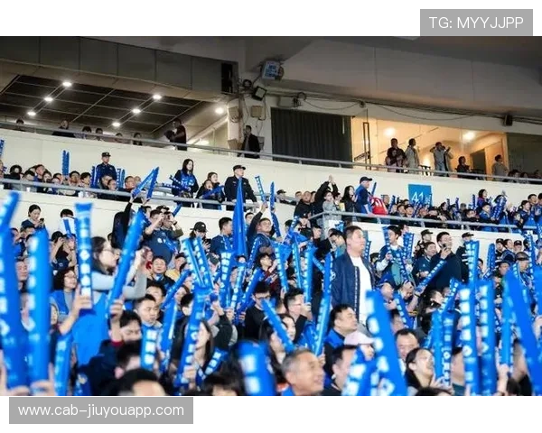 球迷疯狂应援:那些燃爆的现场极速镜头,球迷狂热